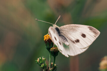 Urlaub, Australien, Pazifik, Natur , Sonne, Strand