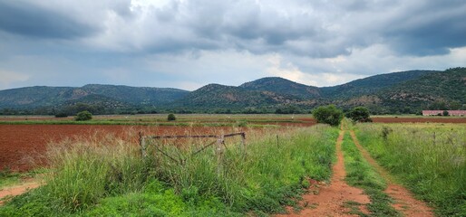Farm road in the middle of nowhere