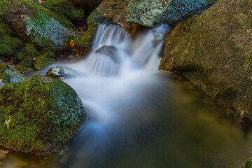 waterfall in mata da albergaria