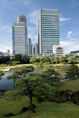 Obraz premium The Kyū Shiba Rikyū Garden - a public garden and former imperial garden in Minato ward in Tokyo, tall skyscrapers in the background