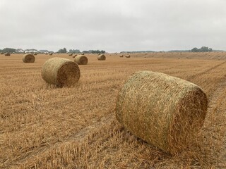 Fototapeta premium bales of straw