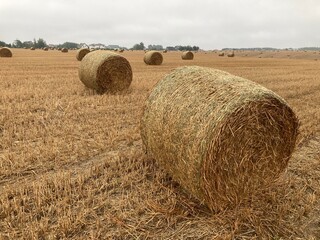 Fototapeta na wymiar bales of straw
