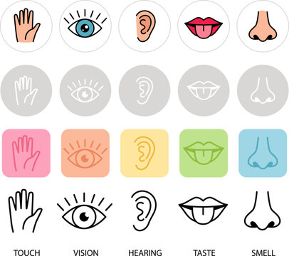 Human feelings. Five senses vector illustration. Lips, hand, nose, eye and ear icons. Smell, touch, hearing, sensory and taste senses pictograms