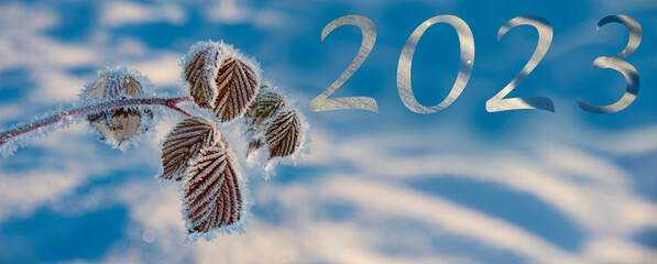 new year 2023 - winter snow background - snow covered surface and artistic bokeh
