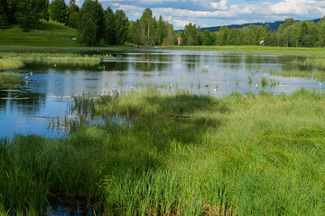 Wiese und See am Pilgerweg St. Olavsweg, Gudbrandsdalsleden bei der Pilgerherberge Risebru in der Nähe von Jessheim, Mogreina in Norwegen.