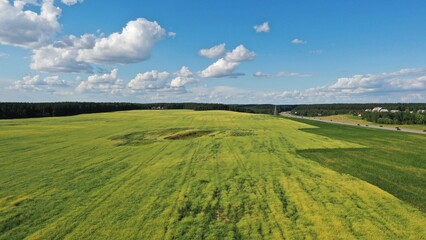 Fototapeta na wymiar Summer landscape with blue sky and yellow field like the flag of Ukraine