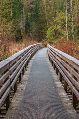 Eco path wooden walkway in the forest. Ecological trail path. Wooden path in the National park in Canada. Travel photo