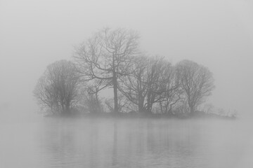 Island of trees on misty lake 