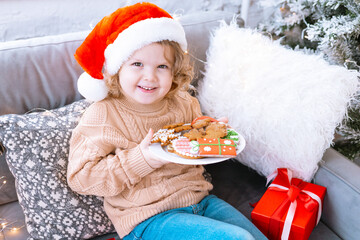 cute happy little girl with curls in Santa hat is sitting on chair near Christmas tree with plate of Christmas gingerbread cookies in her hands, New Year and Christmas family concept