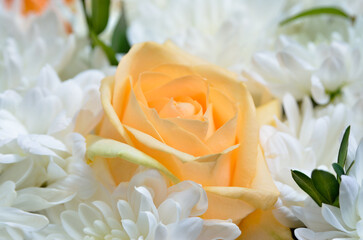 Obraz premium Yellow rose in a bouquet of white daisies