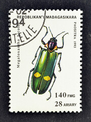 Cancelled postage stamp printed by Madagascar, that shows Metallic Wood-boring Beetle (Megaloxantha...