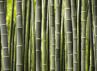 Obraz premium Illustration of bamboo forest, generative ai