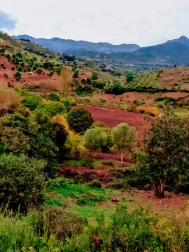 Acres among nature during plowing