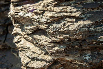 Close-up of a layered rock rock. Stone slate detailed, covered with lichen and illuminated by the sun