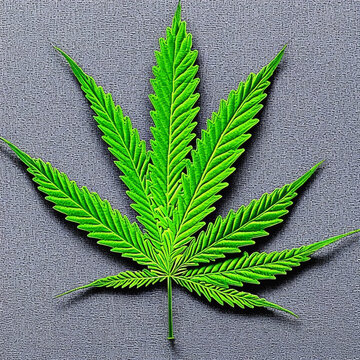 Cannabis Leaf