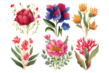 collection of flowers Beautiful Watercolor set of Design Ornaments