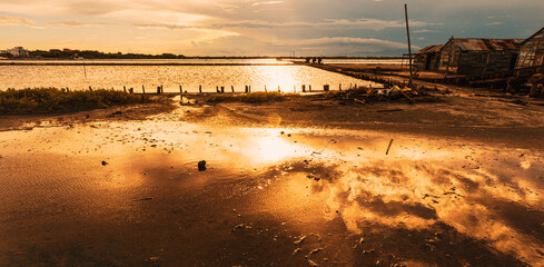 Obraz premium sunset on the beach