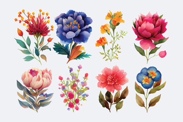 collection of flowers Beautiful Watercolor set of Design Ornaments