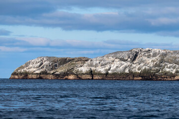 Bird roost on sea rocks with blue sky as a background.