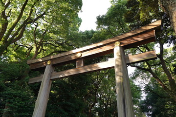 明治神宮、神社、原宿、東京、日本、建物、青空、青、雲、野外、鳥居、木、自然、夫婦、夫婦の木、カップルの木、しめ縄、縄、大きい縄、初詣、参拝、参道、神聖、神道、森、公園、信仰、観光、旅行、お参り、門、建物、日本酒、酒樽、樽、アジア、マイナスイオン、神聖、静寂、神宮、明治、meijijingu,meiji,tokyo,japan,