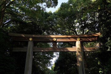 明治神宮、神社、原宿、東京、日本、建物、青空、青、雲、野外、鳥居、木、自然、夫婦、夫婦の木、カップルの木、しめ縄、縄、大きい縄、初詣、参拝、参道、神聖、神道、森、公園、信仰、観光、旅行、お参り、門、建物、日本酒、酒樽、樽、アジア、マイナスイオン、神聖、静寂、神宮、明治、meijijingu,meiji,tokyo,japan,