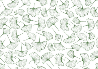 Ginkgo biloba leaves. Seamless pattern, background. Vector illustration. In botanical style