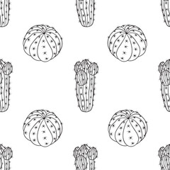 vector graphic seamless pattern with cactus and echeveria plant