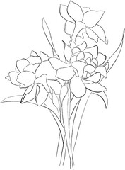 Set hand drawn flowers line art - Botanical illustration, pencil sketch, isolated, png, rose, sunflower, poppy, iris, peony, tulip, lilac
