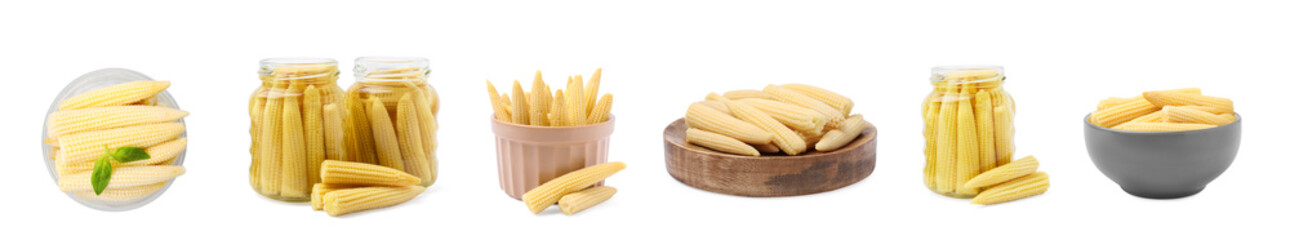 Set with tasty pickled baby corn on white background. Banner design