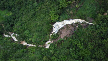 water flowing into the forest