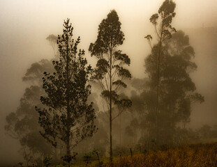 Quilotoa loop, provincia de Cotopaxi, Ecuador © SAHATS