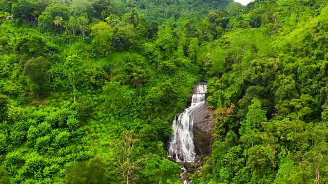 Waterfalls among the green forest view from above. Kuda Falls, Sri Lanka.
