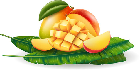 Realistic mango fruits on palm leaves