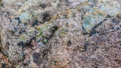 amazing rock texture as a background