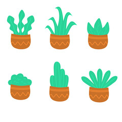 Fototapeta premium set of plants in pots