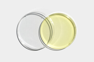 Poly Aluminium chloride liquid in Petri dish with plastic lid on white laboratory table. Chemical ingredient for Cosmetics and Toiletries product. Top View