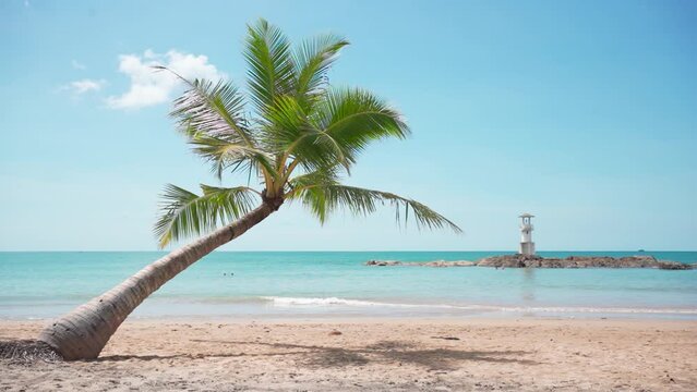 beach with palm trees. Coconut tree alone on beach and white clouds blue sky.	