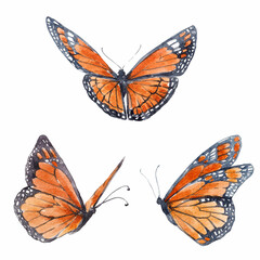 Beautiful clip art image with cute watercolor butterflies. Stock illustration.