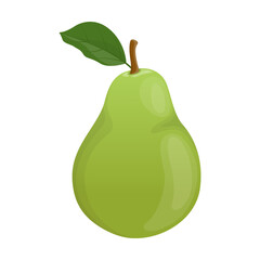 Green pear. Vector illustration of sweet ripe. Whole juice garden fruit with leaf isolated white. Vegetarian food dessert concept