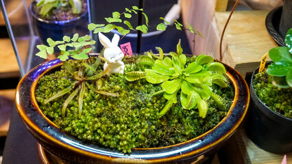 Thai Local Sea Street Food Phuket