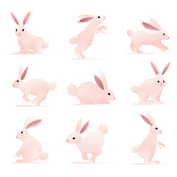 Rabbit Cute Illustration Vector with Different Pose Pink Gradient Color is Suitable for the needs of design elements book poster