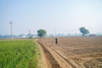 old Indian farmer or labor working at agriculture field.
