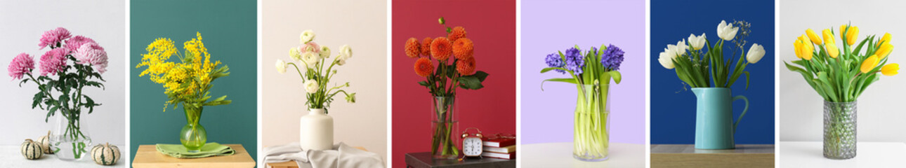 Collage of stylish vases with beautiful flowers on table against color wall