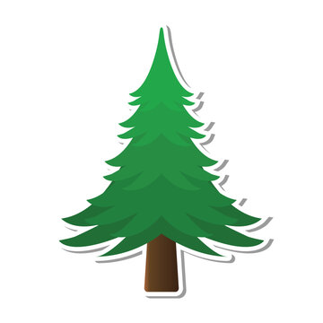Pine tree design vector flat isolated illustration