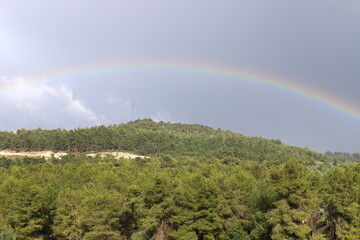 Rainbow in the sky over the forest.
