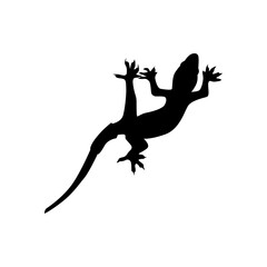 Silhouette of lizard