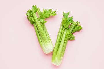 Bunches of fresh celery on pink background