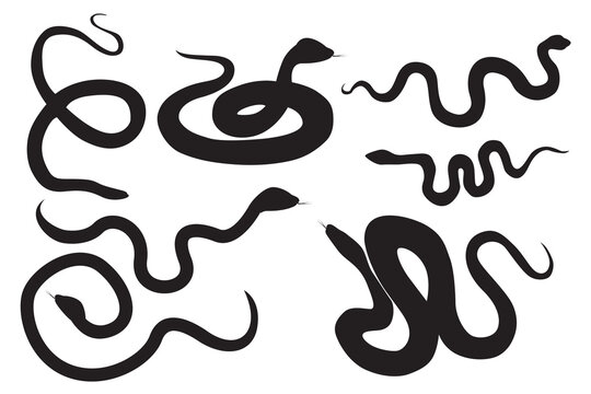 Snake vector set. Venomous reptile. Dangerous and poisonous snake silhouette