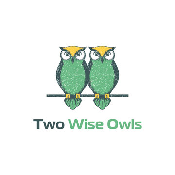 Two owl logo with colorful style logo designs