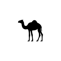 camel illustration for icon,symbol or logo. camel silhouette